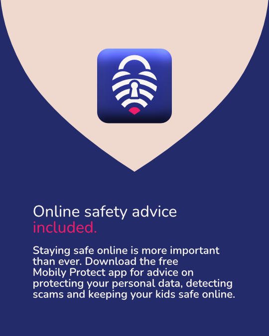 Carousel Slide 4 "Online safety advice included"