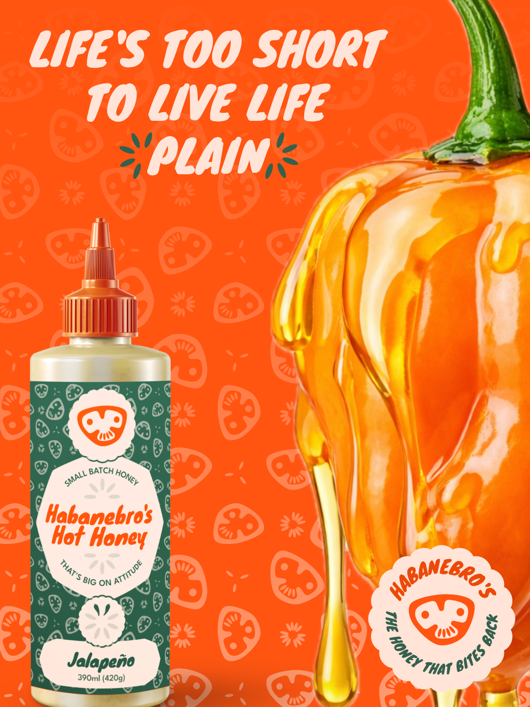 Habanero Example social post that says "Life's too short to live life plain"
