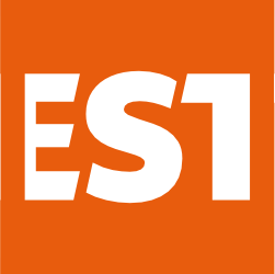 Letters EST have matching angles